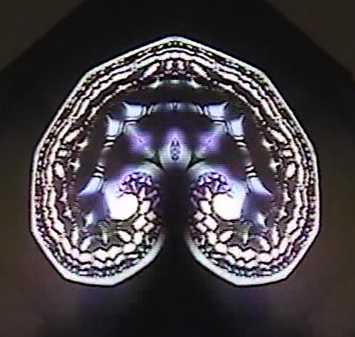 Dusty Snout Momus album cover